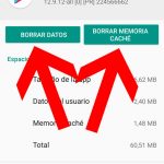 Borra caché y los datos de play store