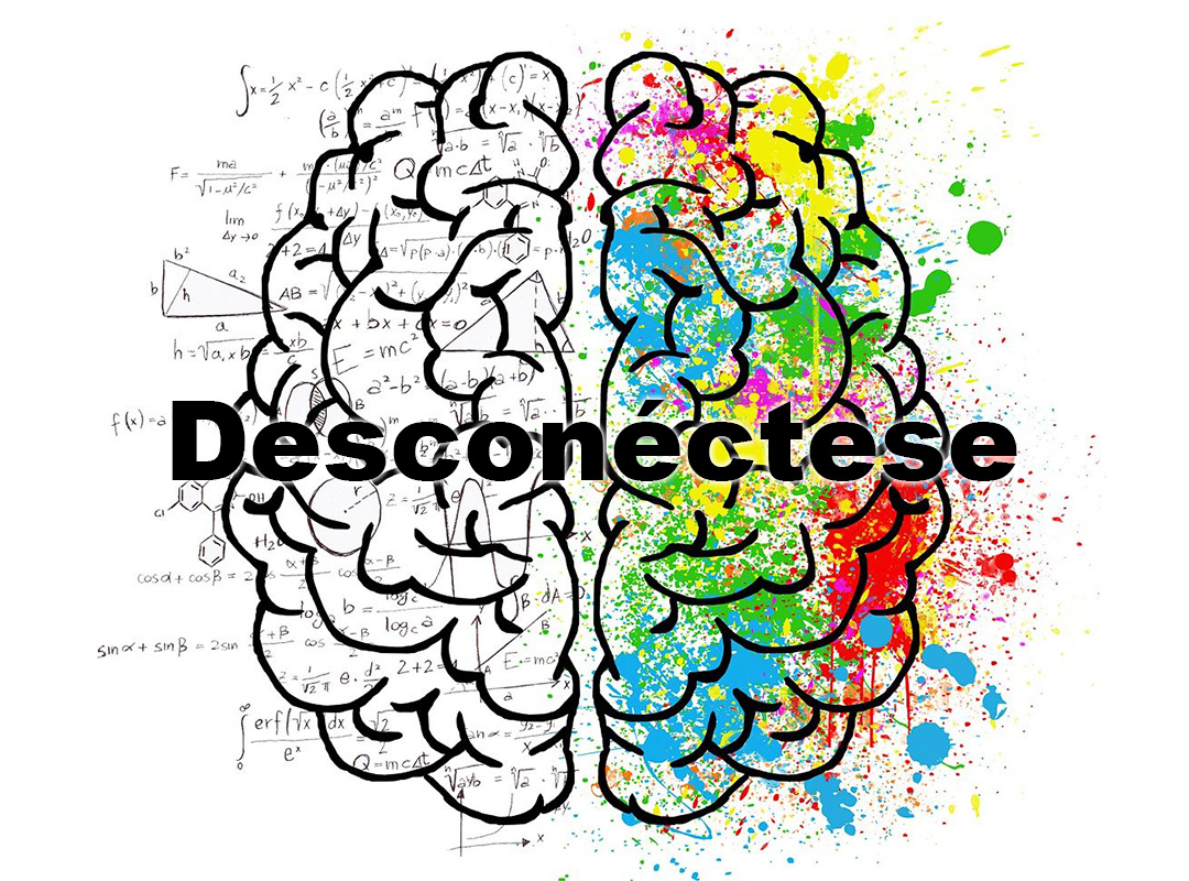 Desconéctese!